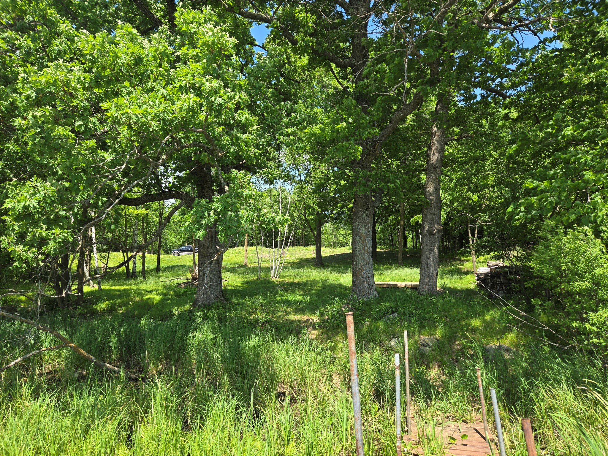 110 90th Ave Clayton WI 54004 - Camelia 1600343 image9