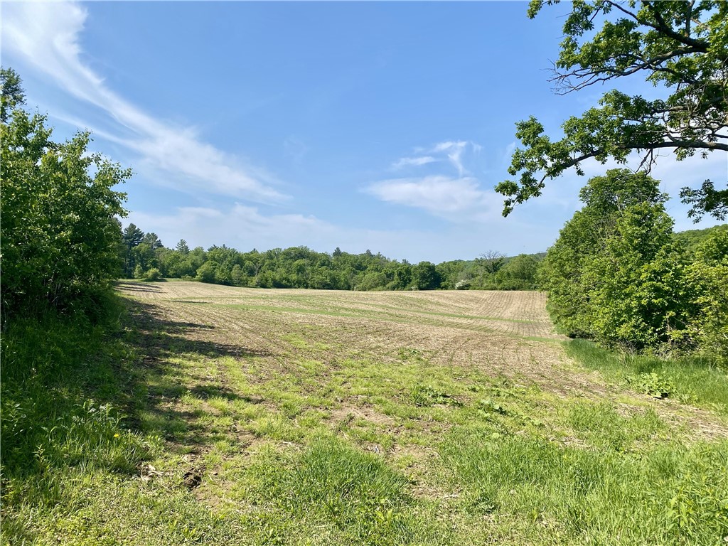 1101 7 1/4-8th Avenue Dallas WI 54733 - Dorrity 1592544 image1