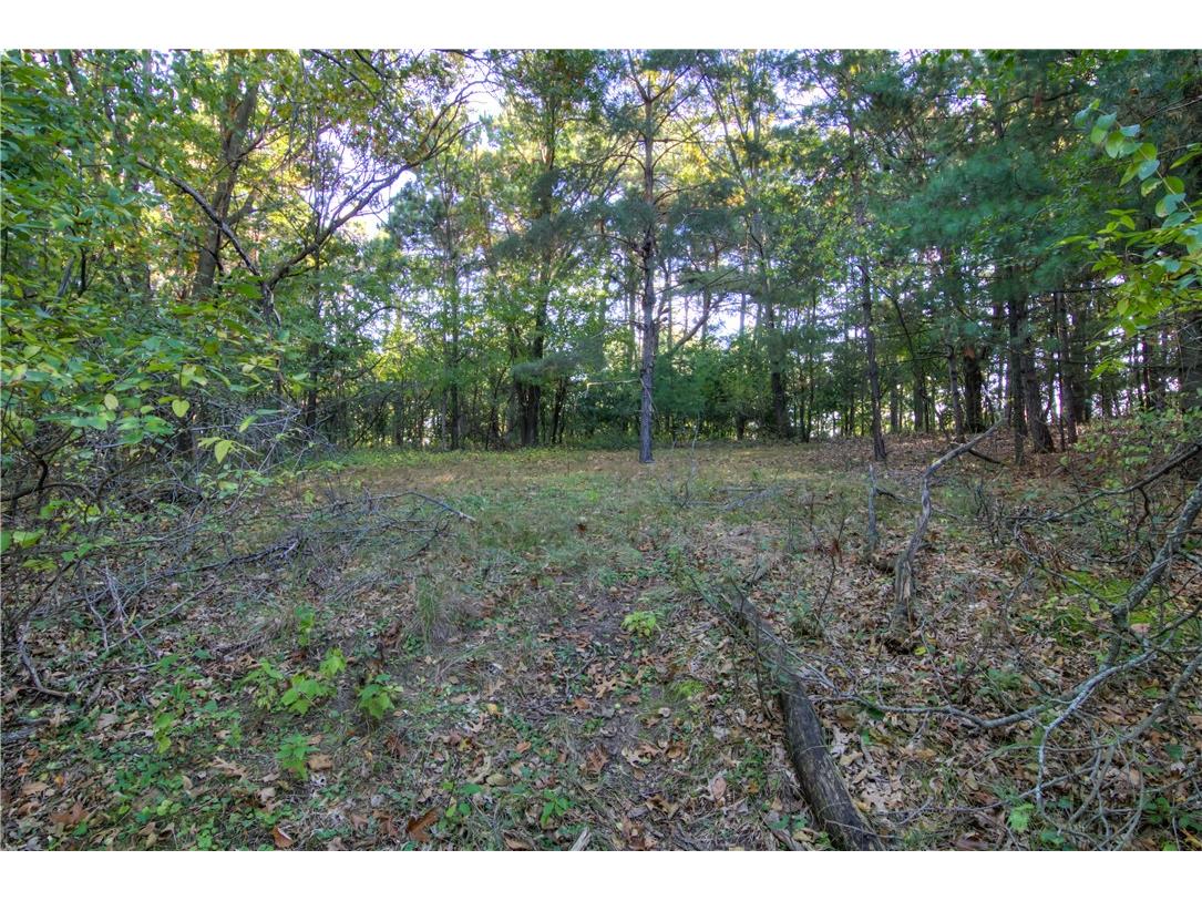 1105 Dodge Street Eau Claire WI 54701 1596294 image29