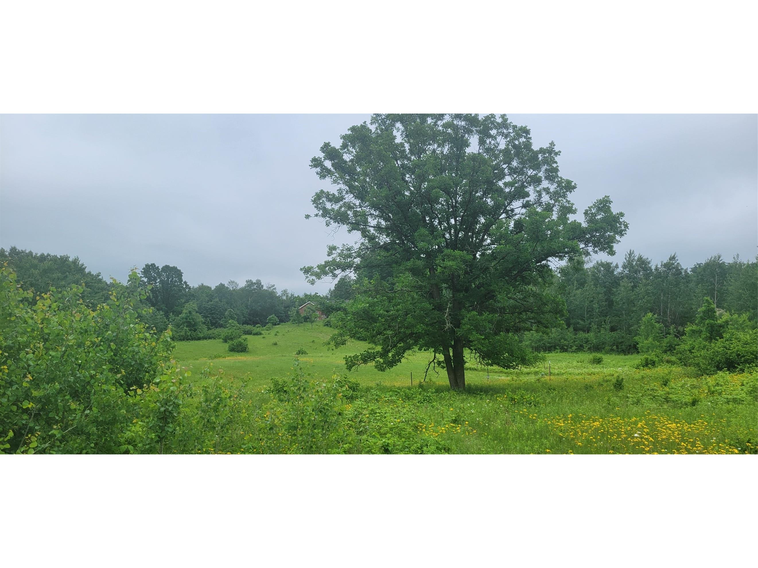 11116 N Blackberry Road Trego WI 54888 1601881 image2