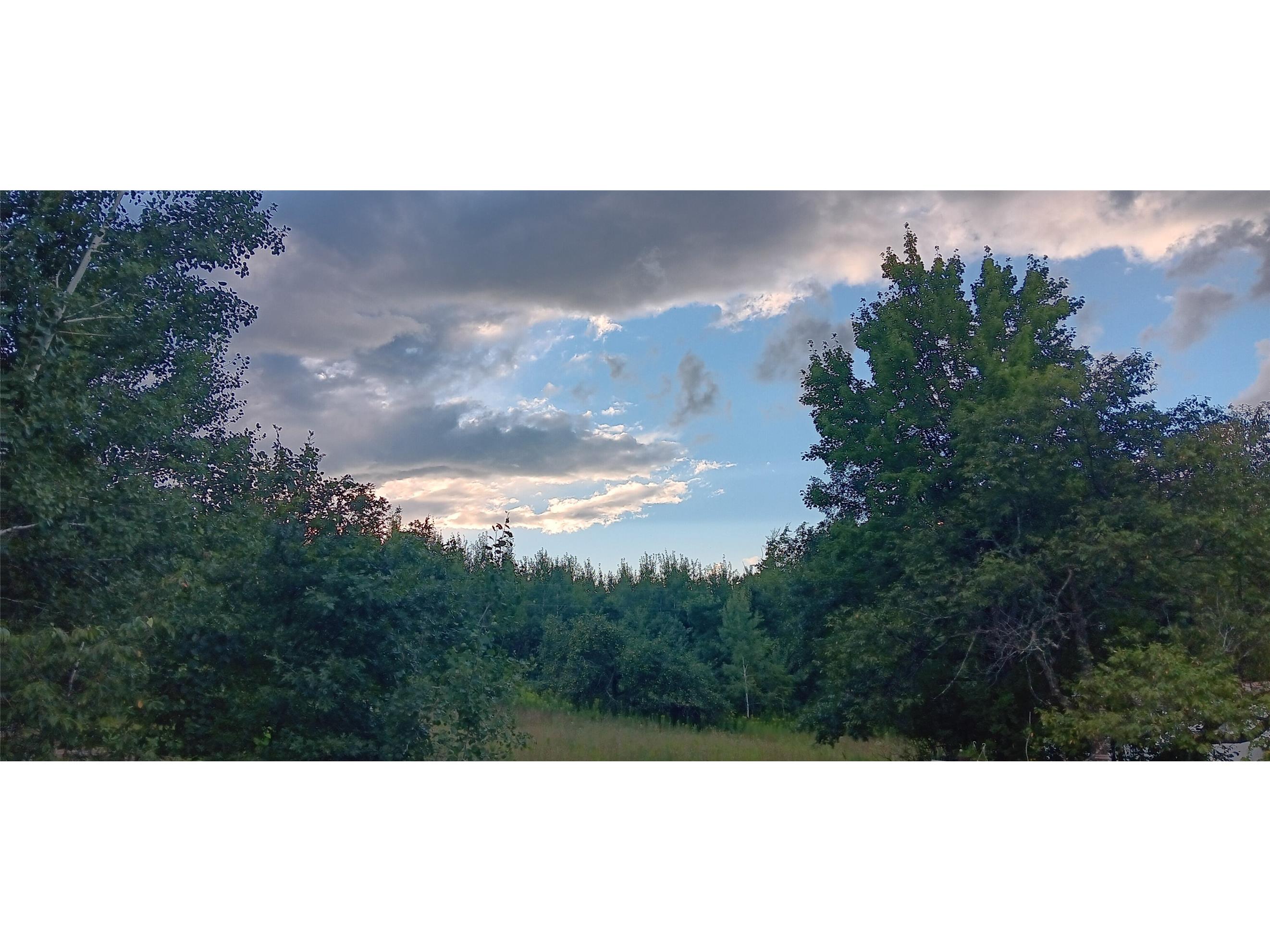 11116 N Blackberry Road Trego WI 54888 1601881 image21