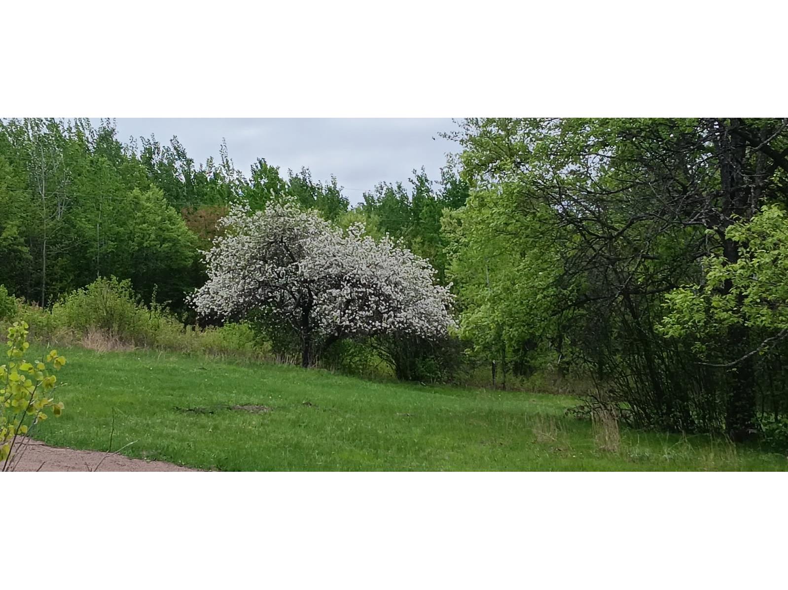 11116 N Blackberry Road Trego WI 54888 1601881 image22