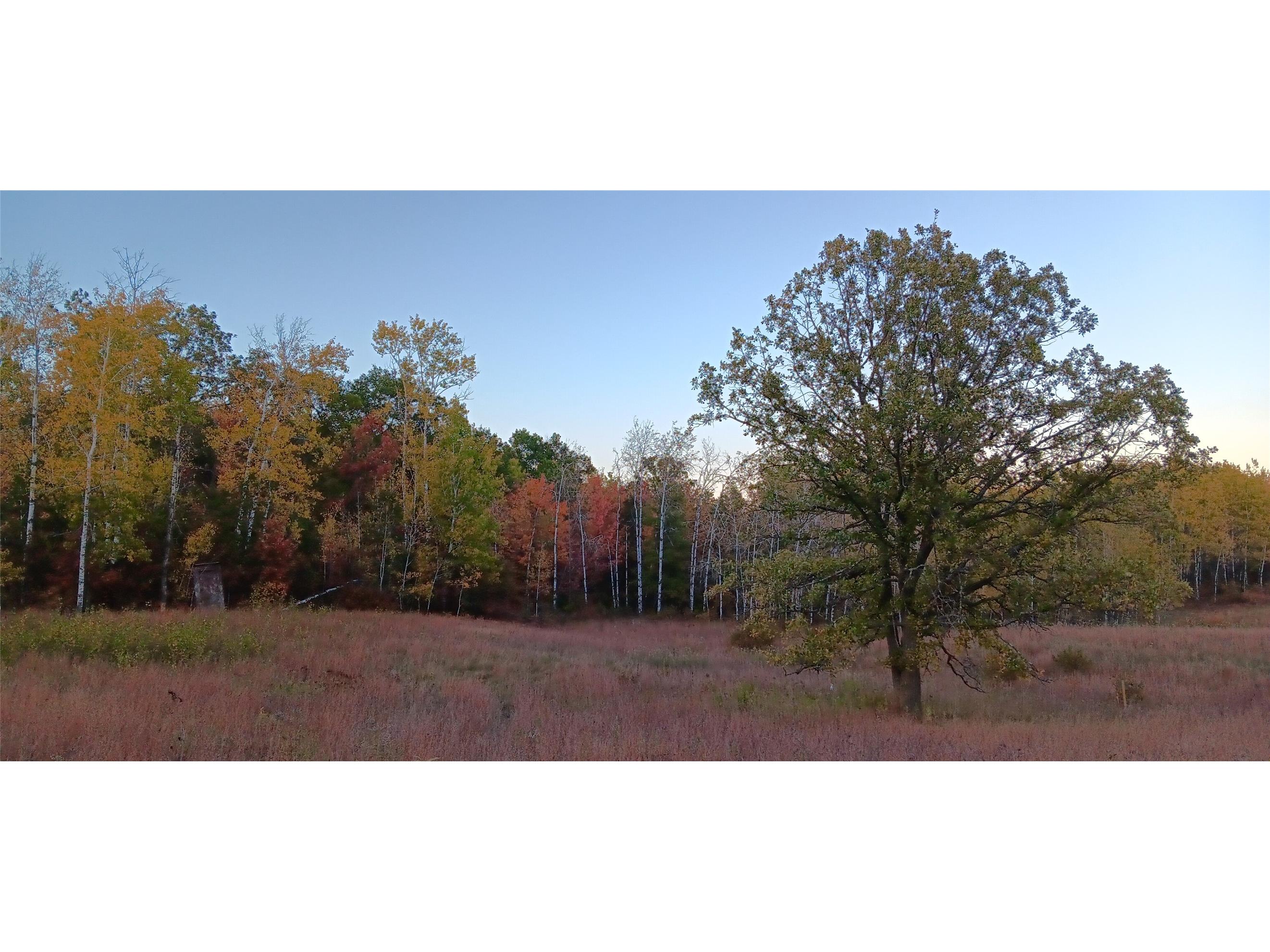 11116 N Blackberry Road Trego WI 54888 1601881 image25