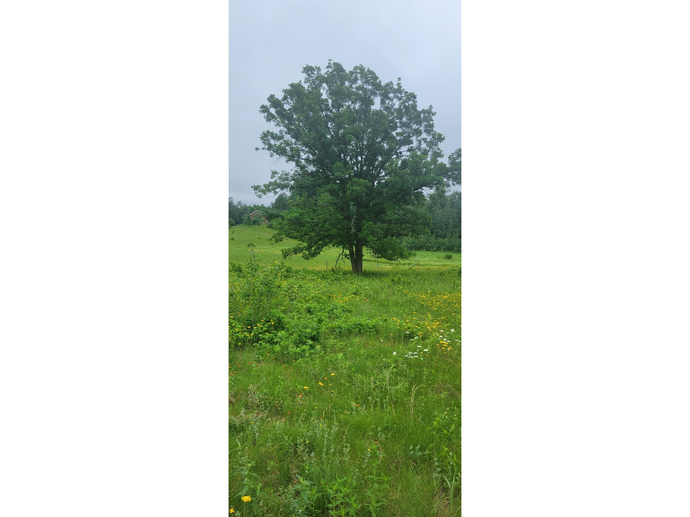 11116 N Blackberry Road Trego WI 54888 1601881 image7