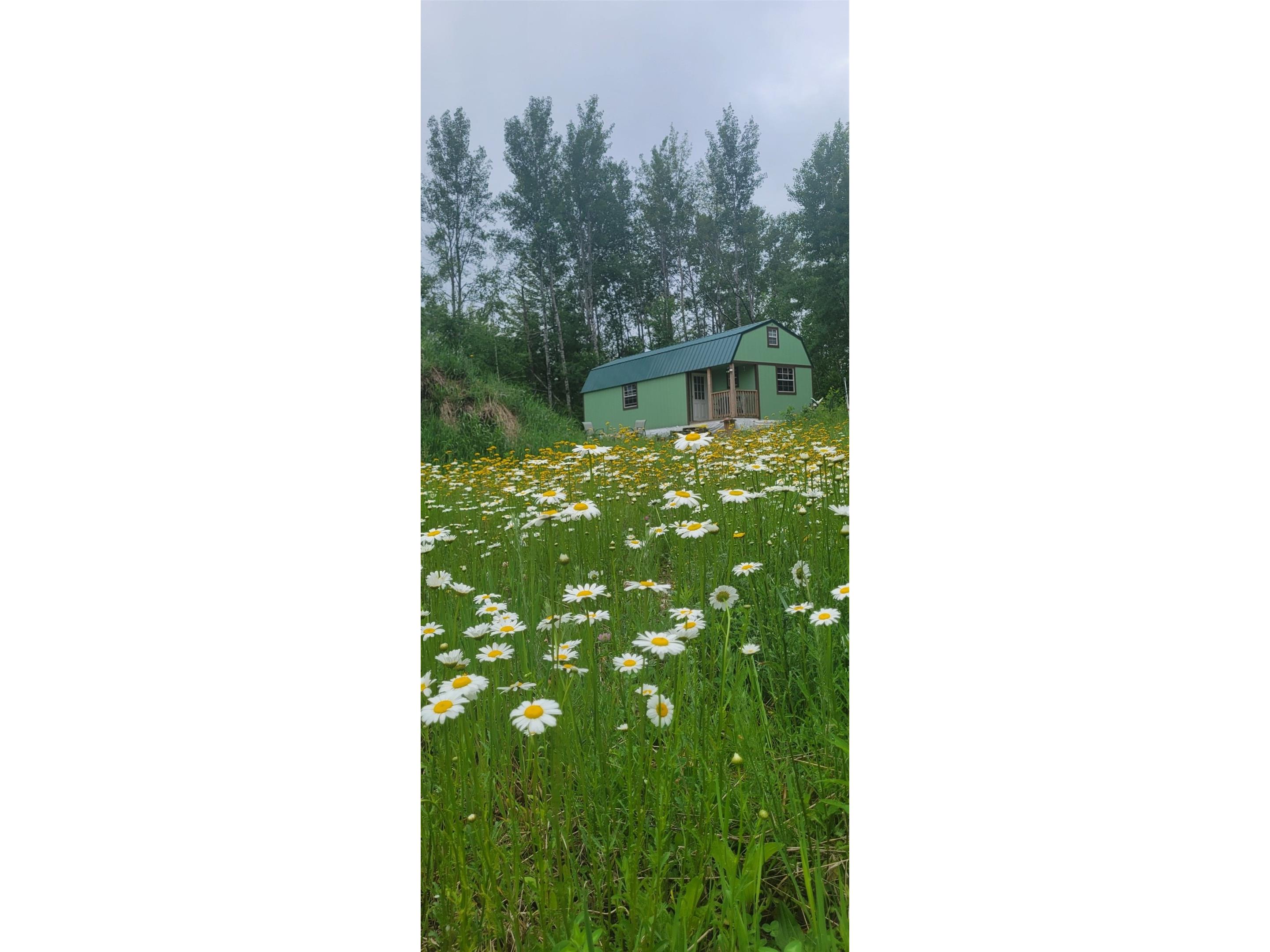 11116 N Blackberry Road Trego WI 54888 1601881 image9