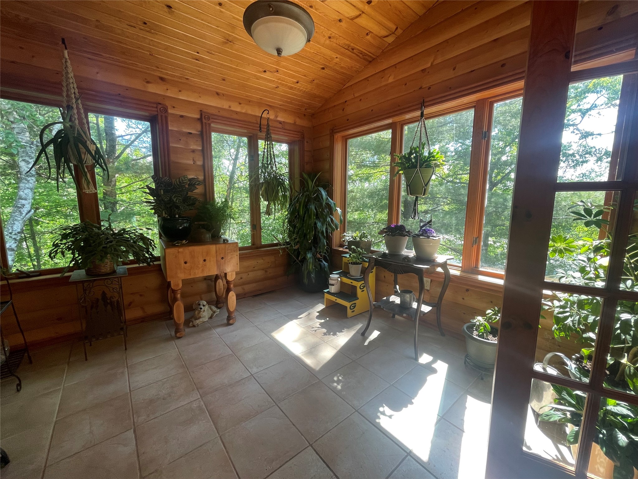 11147N Blue Heron Lane Hayward WI 54843 - Tiger Cat 1601836 image16