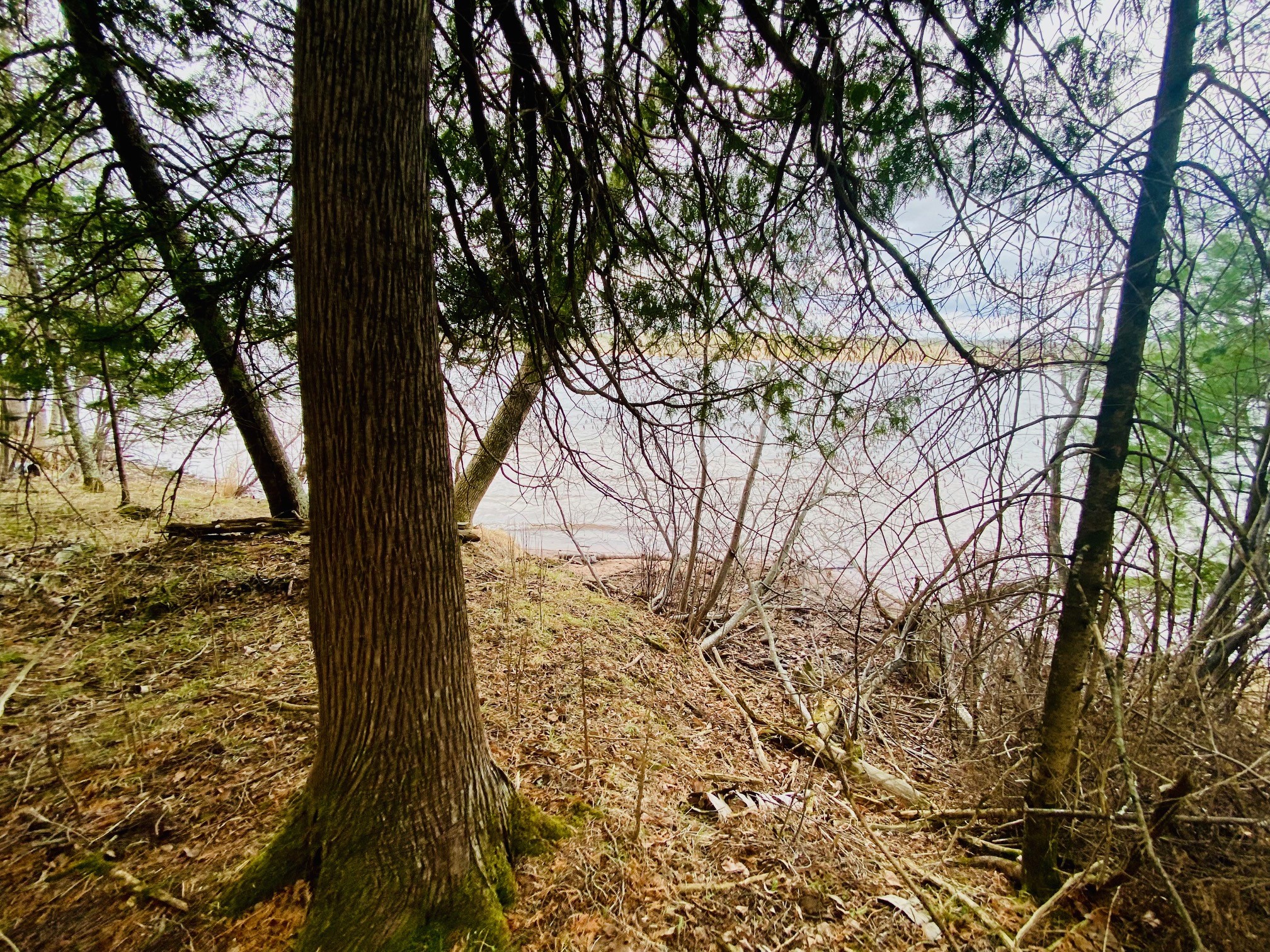 11171 S Engstad Road Solon Springs WI 54873 - Upper St. Croix Lake 1600391 image14