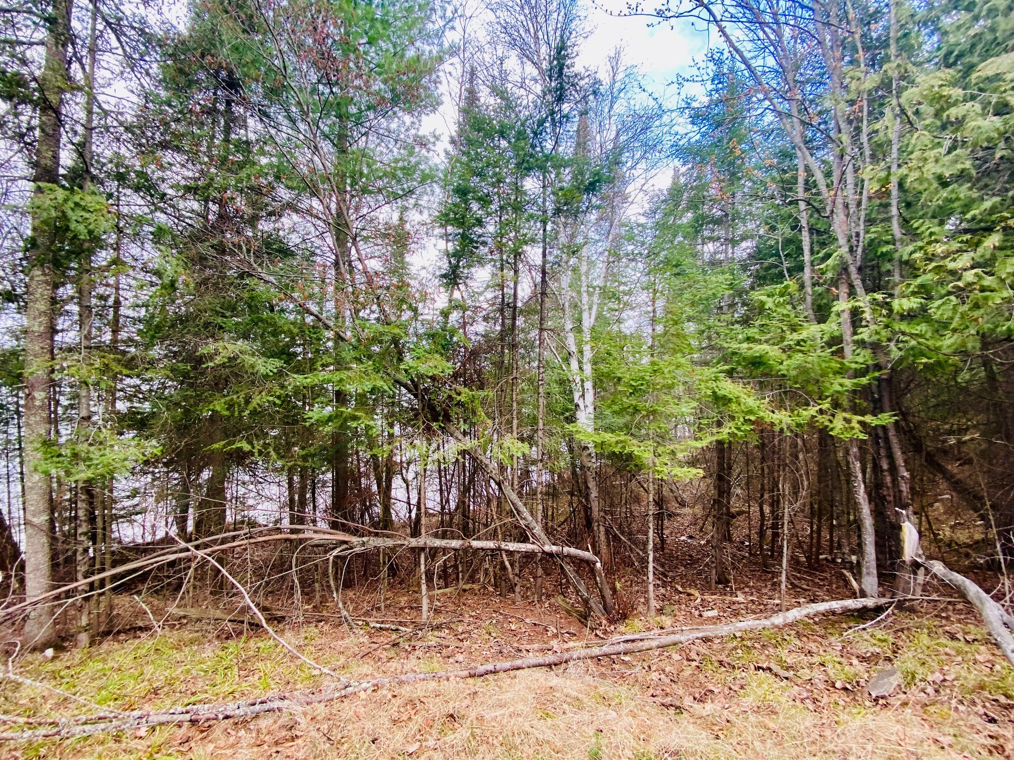 11171 S Engstad Road Solon Springs WI 54873 - Upper St. Croix Lake 1600391 image17