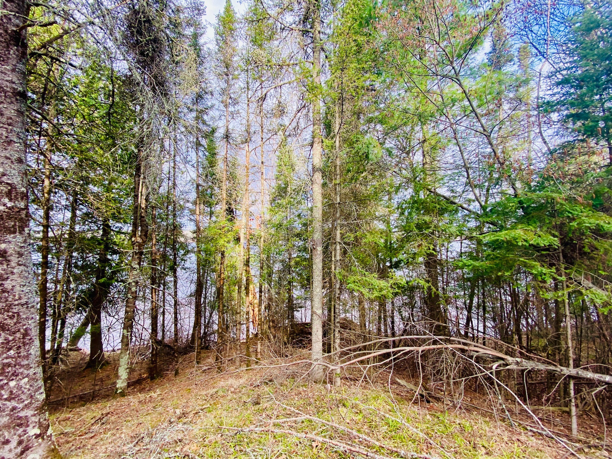 11171 S Engstad Road Solon Springs WI 54873 - Upper St. Croix Lake 1600391 image8