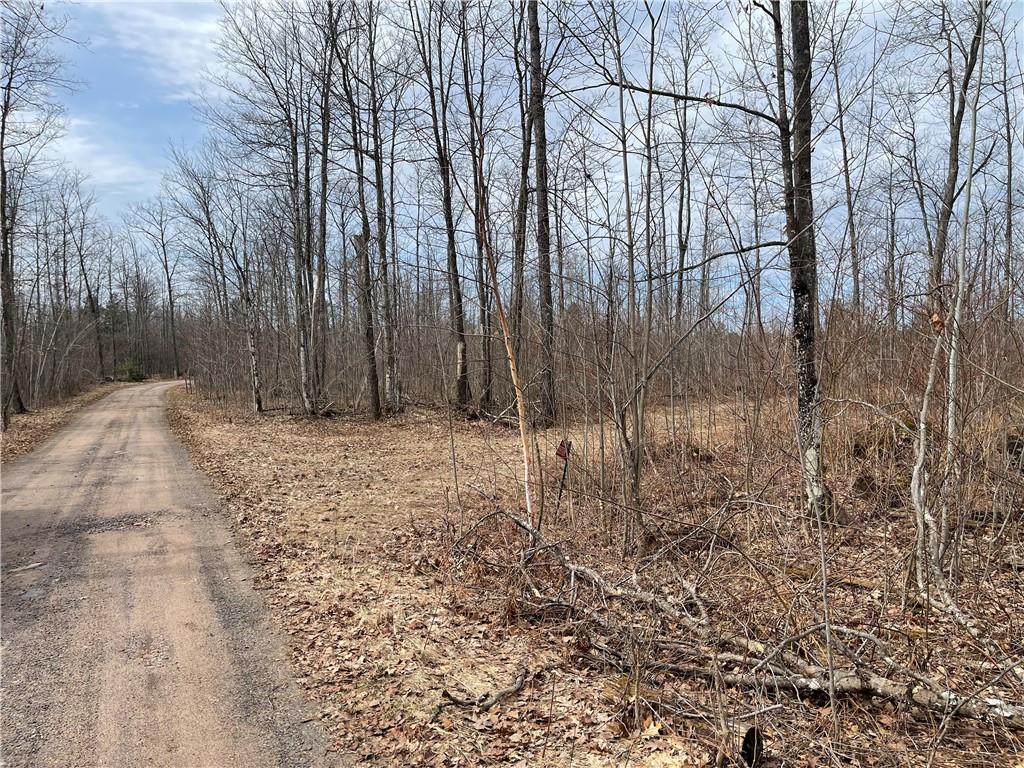 11179N Blue Heron Lane Hayward WI 54843 - Tiger Cat 1572840 image1