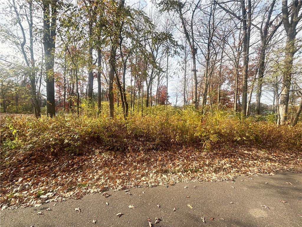 1118 Heart Island Parkway Rice Lake WI 54868 - Rice 1596825 image7