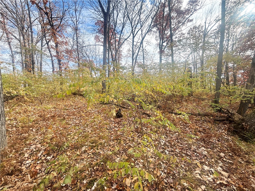 1118 Heart Island Parkway Rice Lake WI 54868 - Rice 1596825 image8