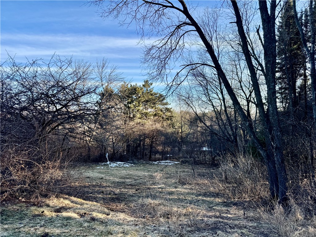 1118 Kathryn Drive Eau Claire WI 54701 1598930 image28