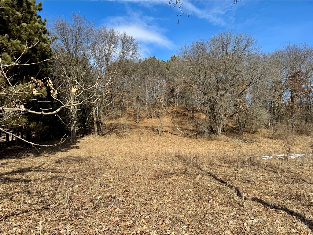 1118 Kathryn Drive Eau Claire WI 54701 1598930 image37