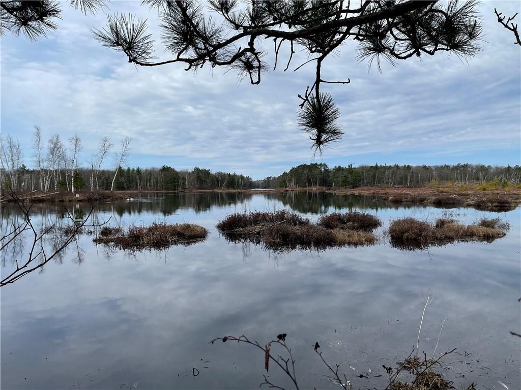 11187N Blue Heron Lane Hayward WI 54843 - Tiger Cat 1572842 image1