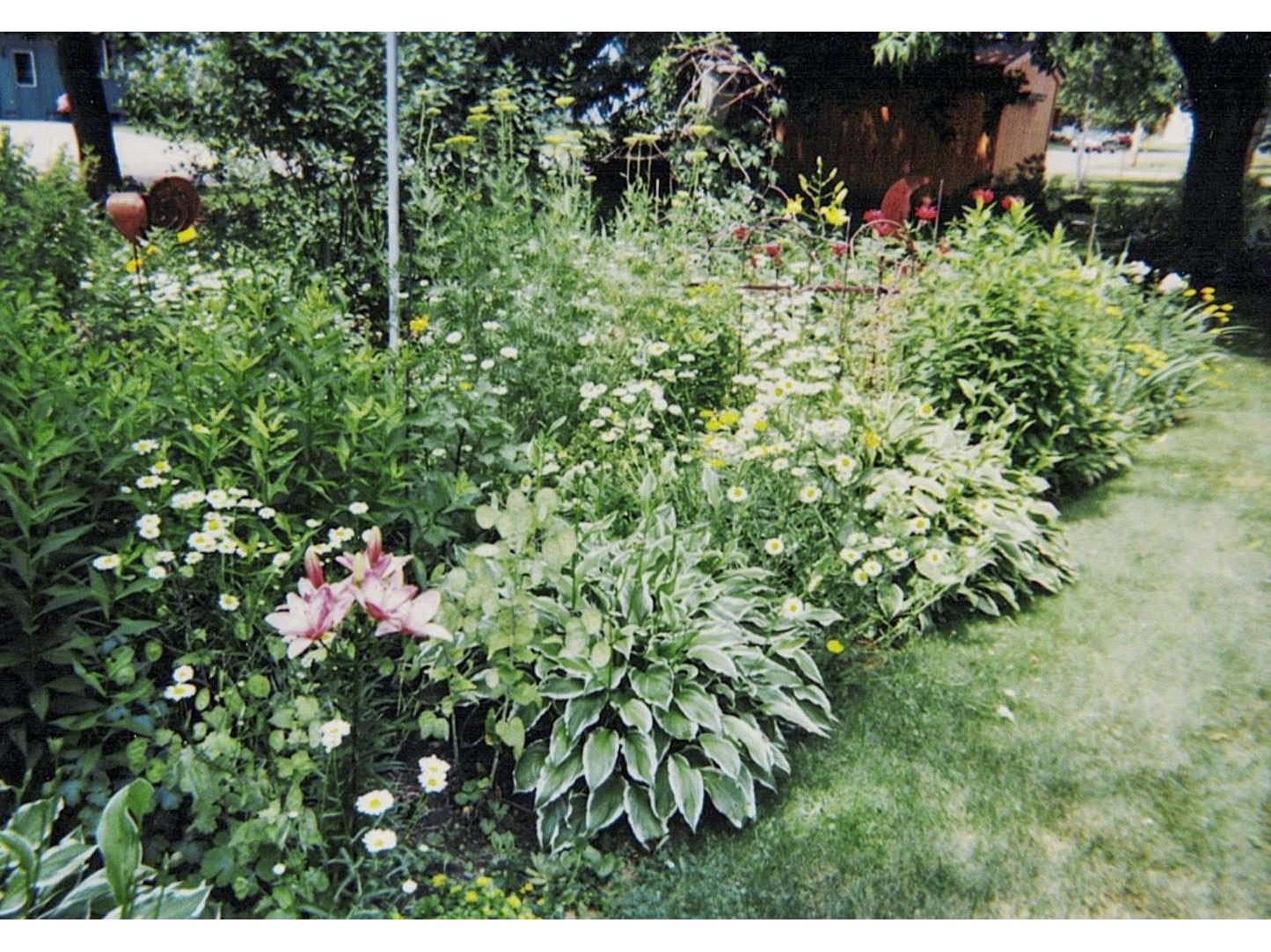 112 Elbert Drive Rice Lake WI 54868 1598747 image35