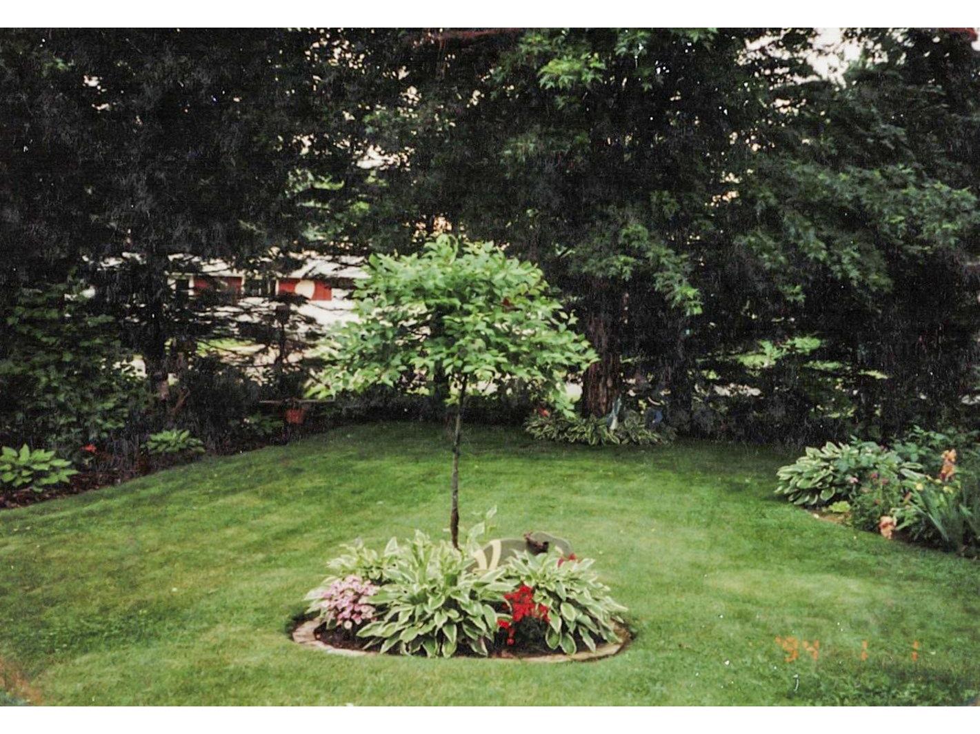 112 Elbert Drive Rice Lake WI 54868 1598747 image42