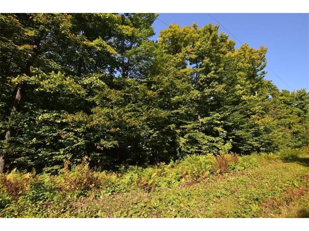 11232 N Sun-N-Sno Road Hayward WI 54843 1583121 image1