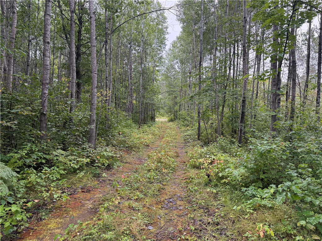 11243 E Kelly Road Highland WI 54849 1595187 image1