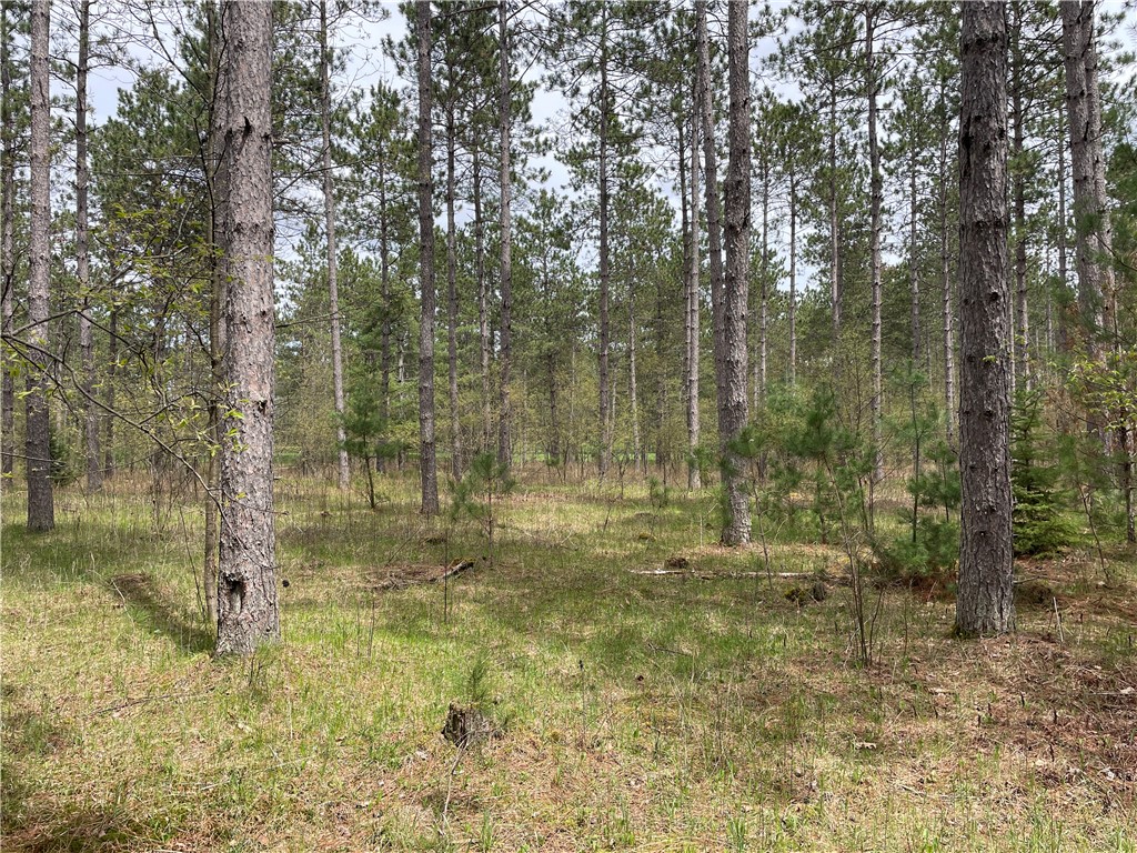 11258 W Elaine Drive Hayward WI 54843 1578877 image1