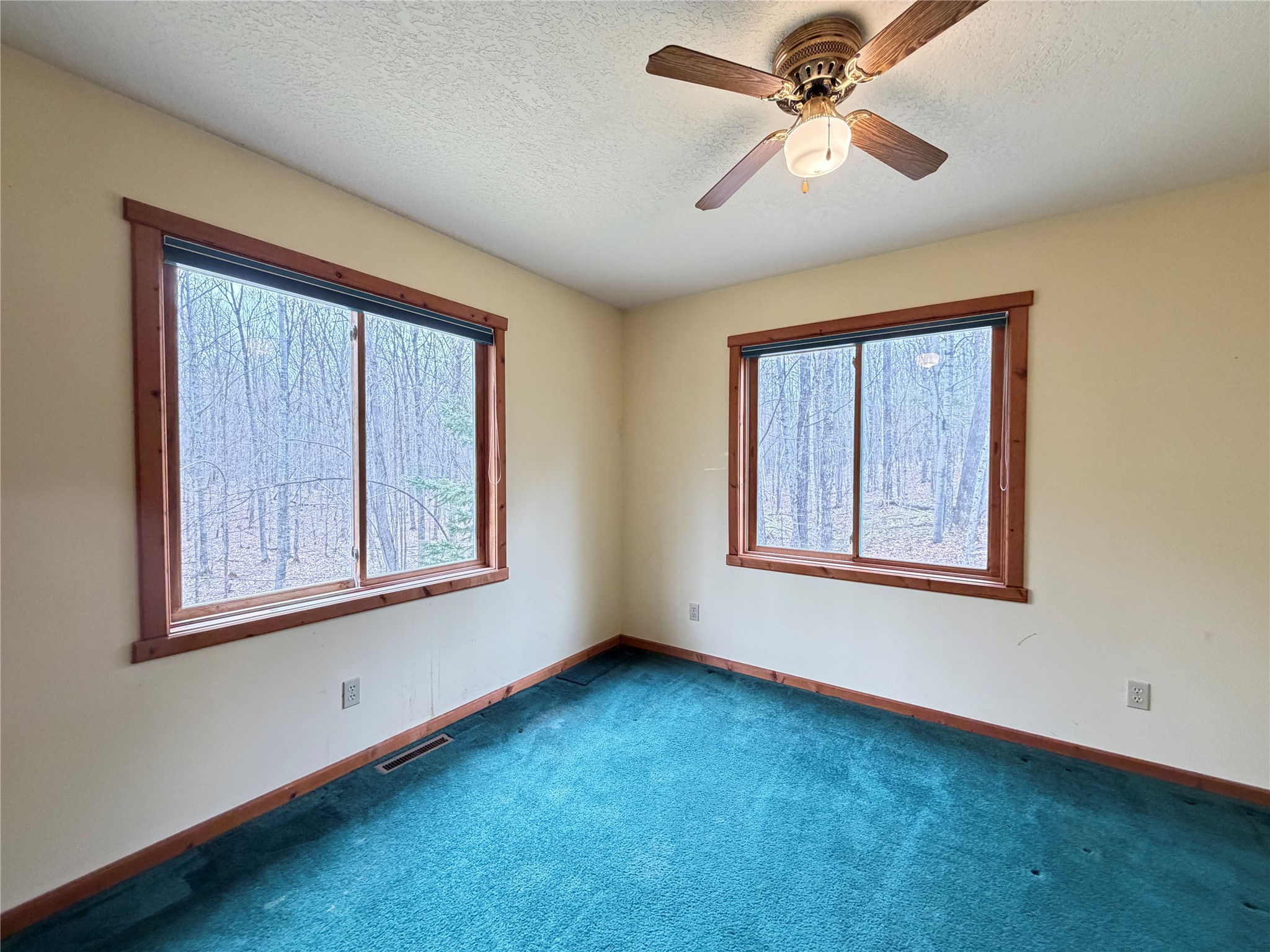 11263 N Songbird Lane Hayward WI 54843 1600890 image36