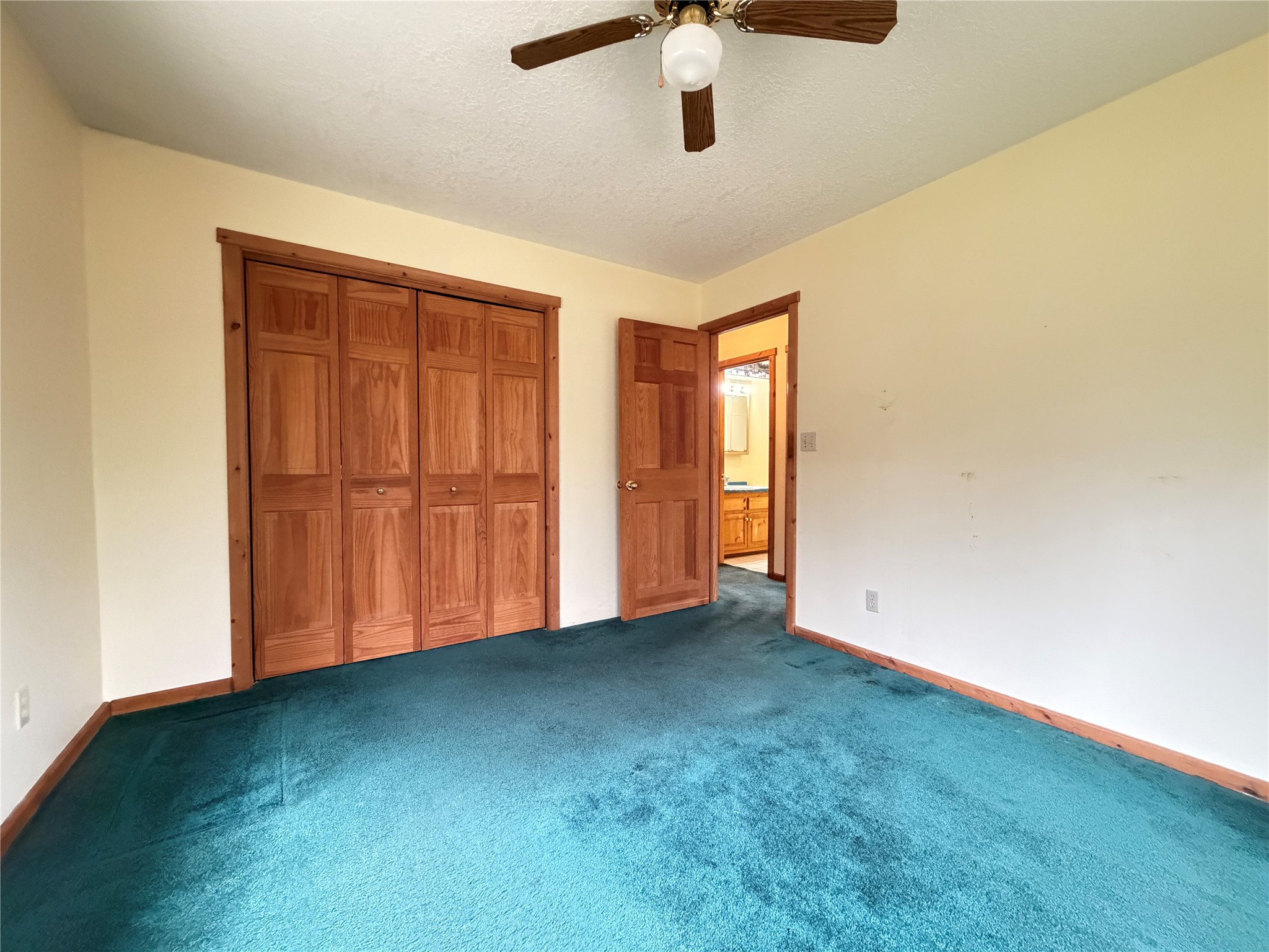11263 N Songbird Lane Hayward WI 54843 1600890 image40