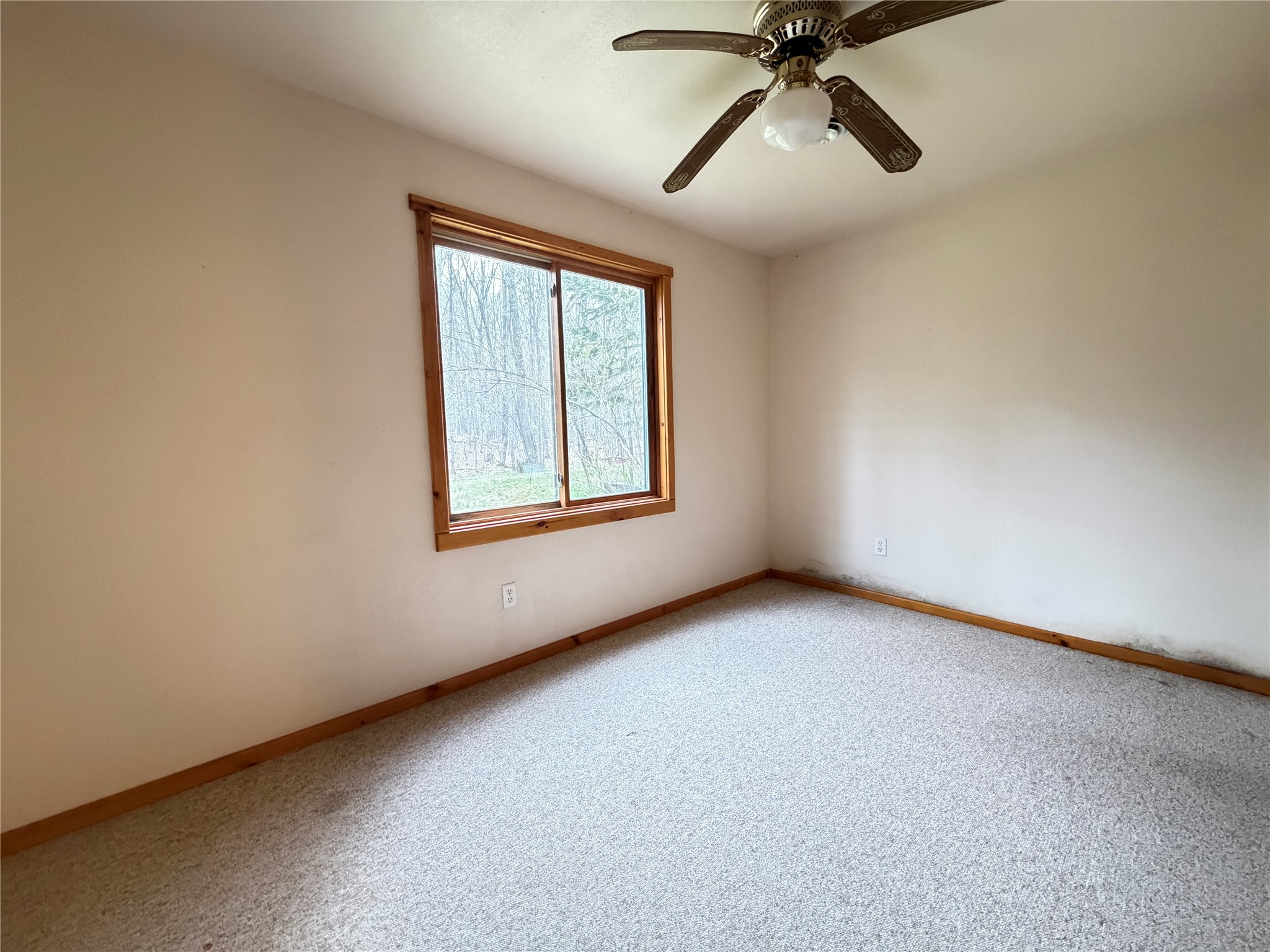 11263 N Songbird Lane Hayward WI 54843 1600890 image47