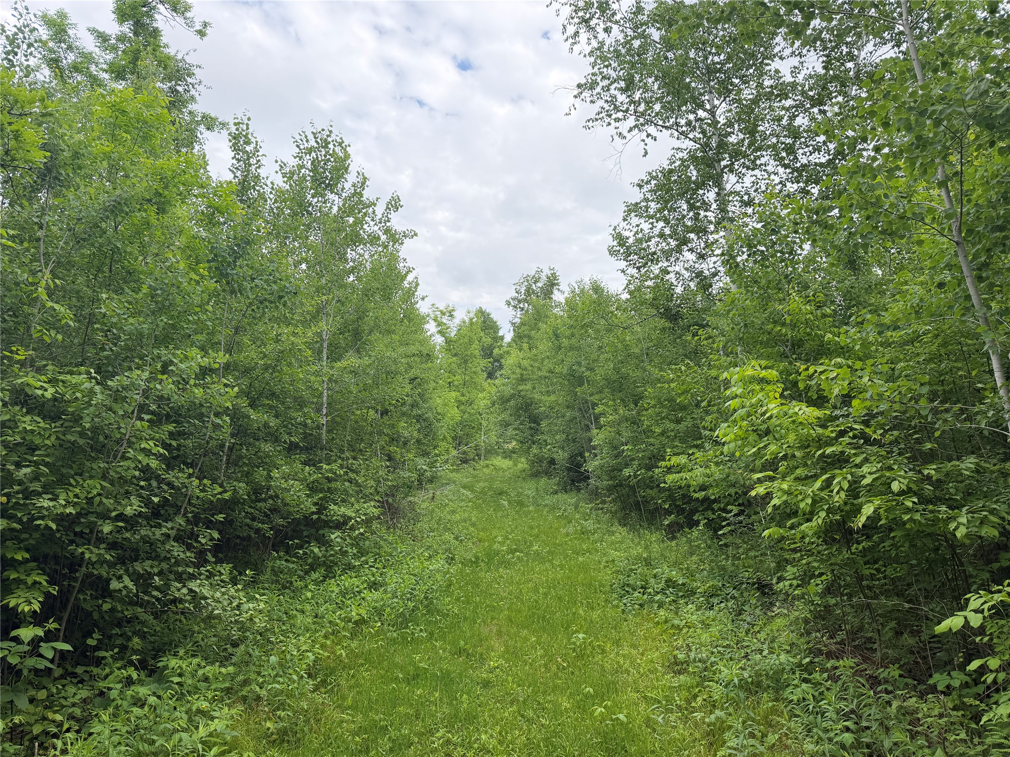 1130 N Sunset Lane Birchwood WI 54817 1601856 image42