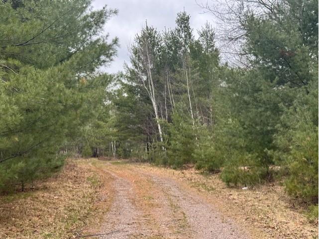11317 N Bethel Road Hayward WI 54843 1600568 image4