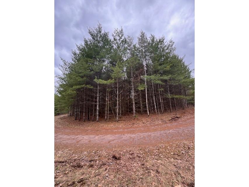 11317 N Bethel Road Hayward WI 54843 1600568 image5