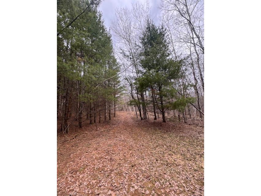 11317 N Bethel Road Hayward WI 54843 1600568 image6