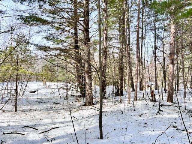 11348 W County Hwy B Hayward WI 54843 1572058 image1