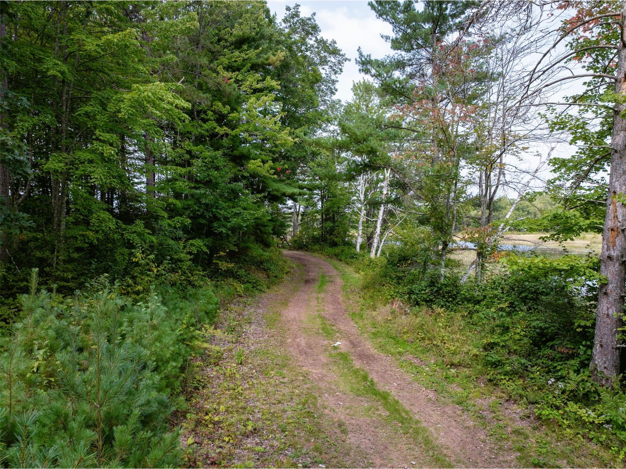 11349N Vasa Road Hayward WI 54843 1599816 image4