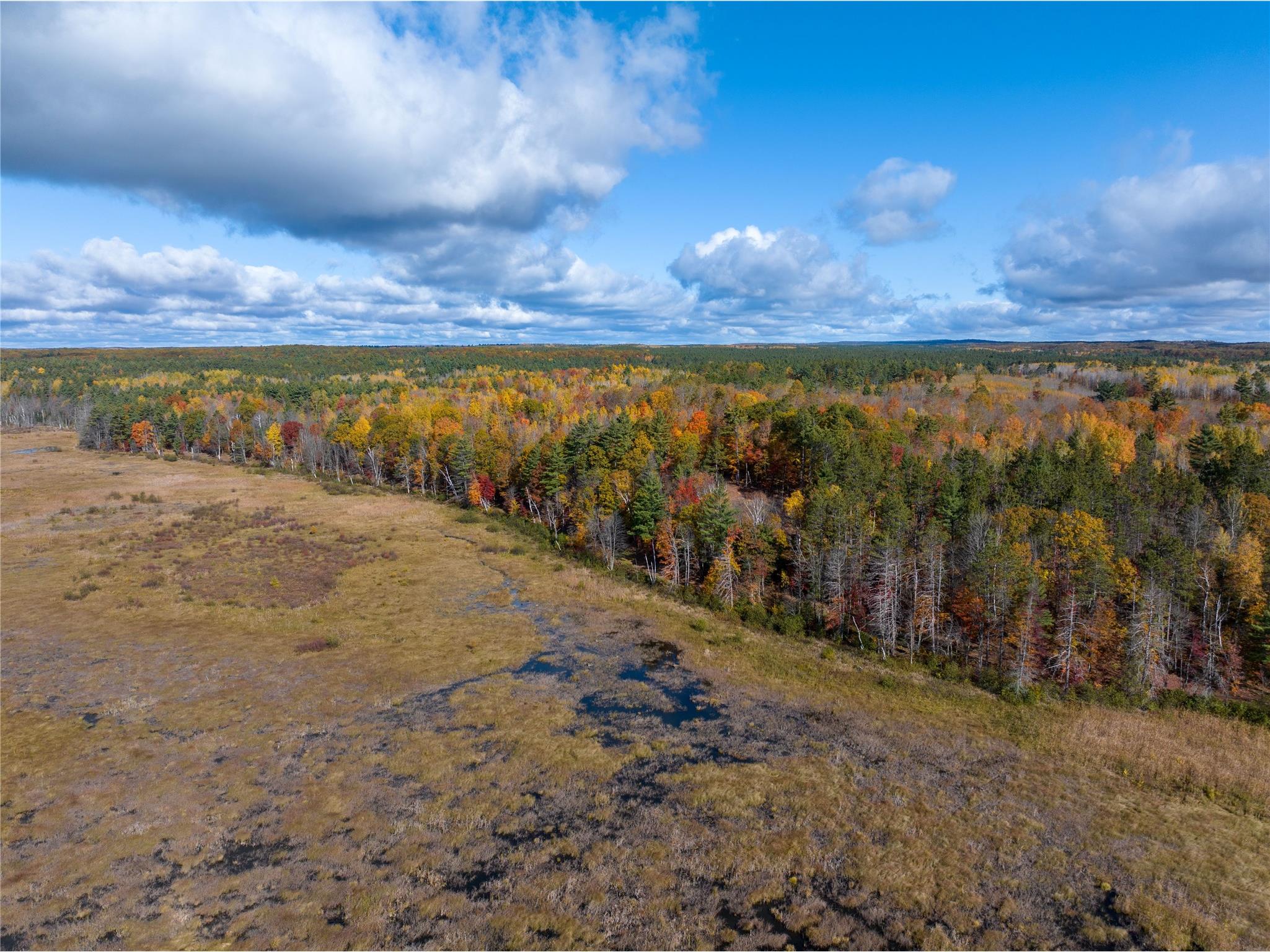 11352N Vasa Road Hayward WI 54843 1599818 image17