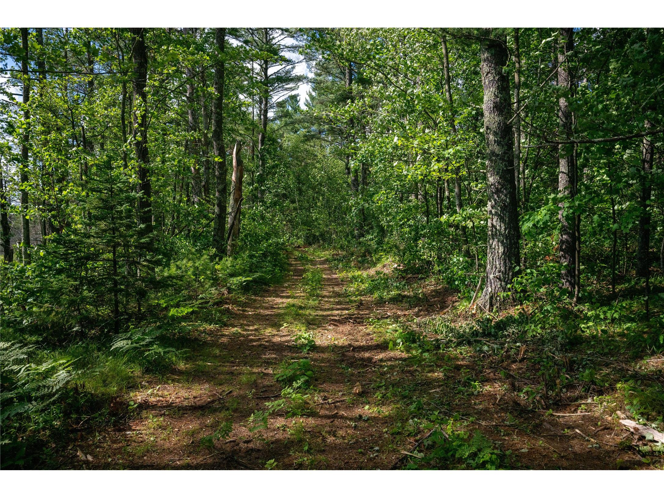 11352N Vasa Road Hayward WI 54843 1599818 image23