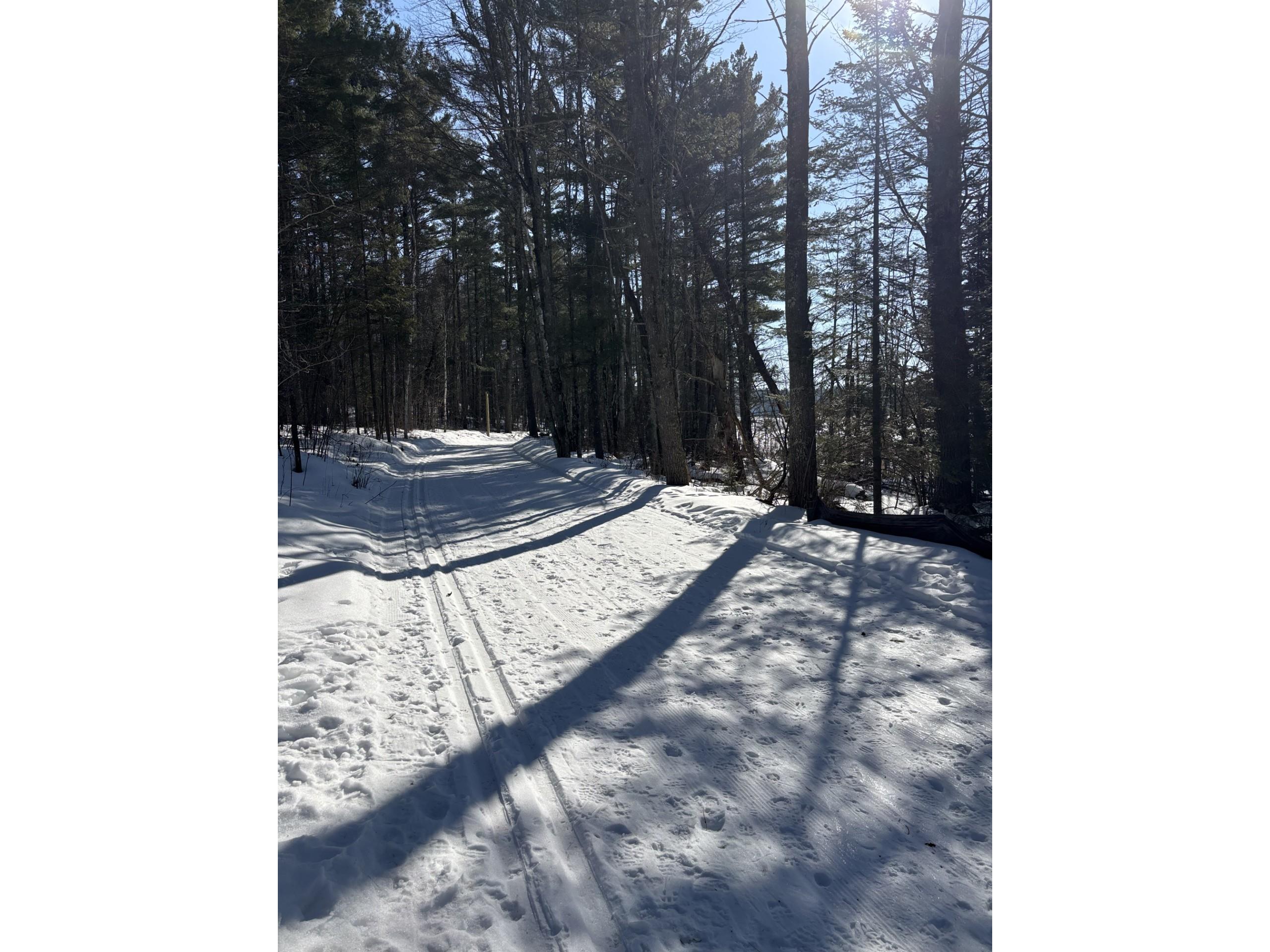 11352N Vasa Road Hayward WI 54843 1599818 image5