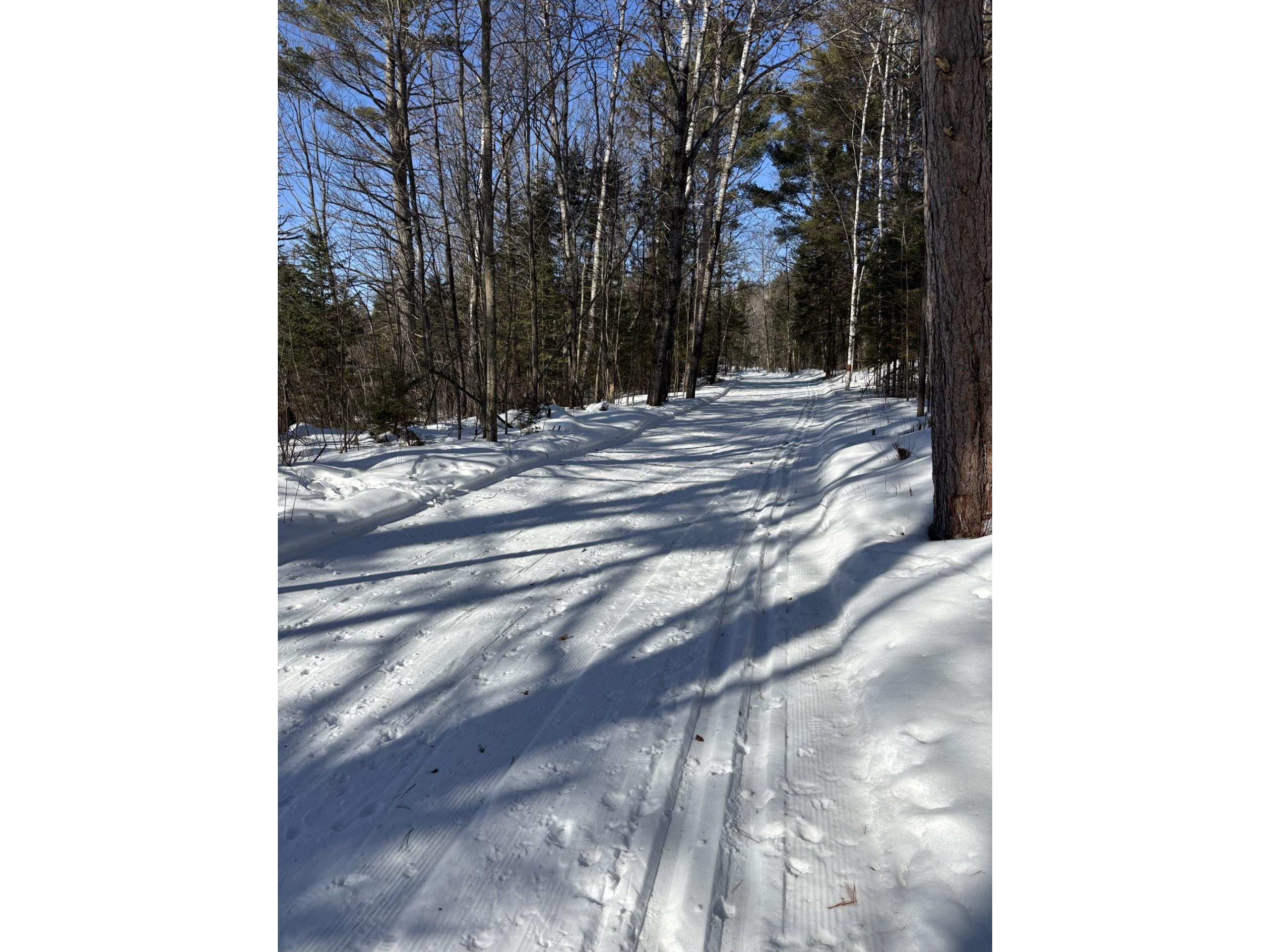 11352N Vasa Road Hayward WI 54843 1599818 image7