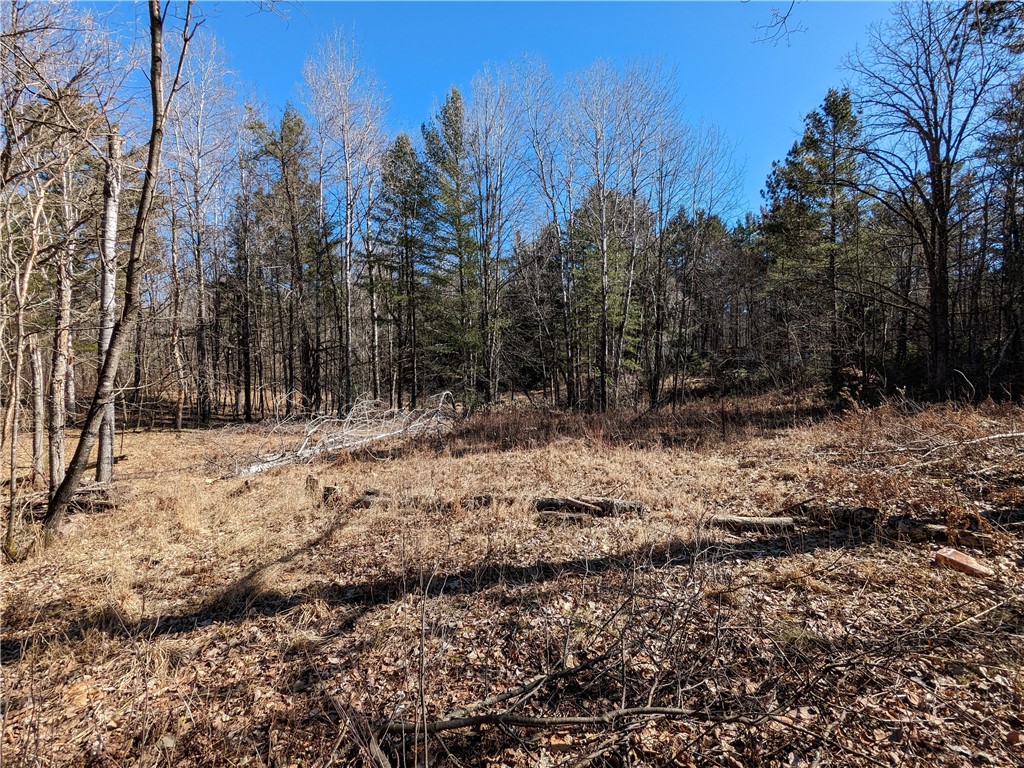 11366 W County Highway B Hayward WI 54843 1580104 image1