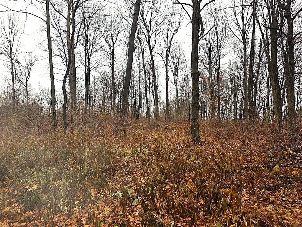 1141 12th Ave. Barron WI 54812 1597229 image10