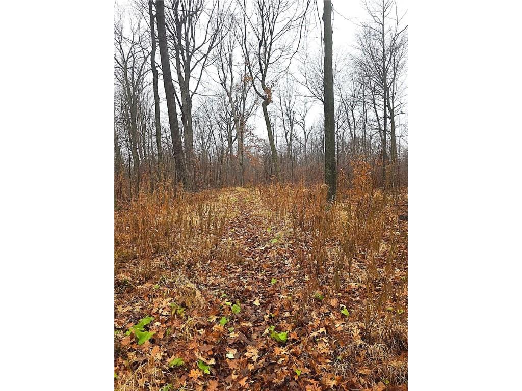 1141 12th Ave. Barron WI 54812 1597229 image11