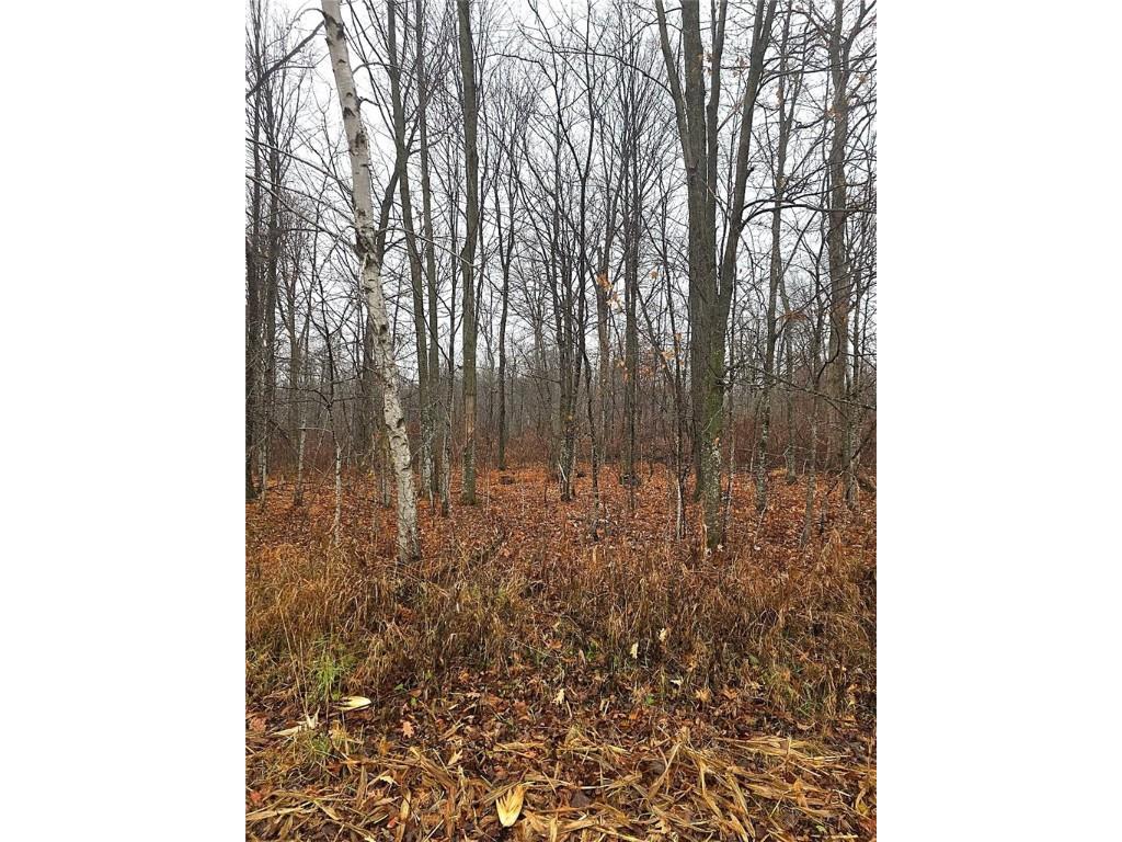 1141 12th Ave. Barron WI 54812 1597229 image13