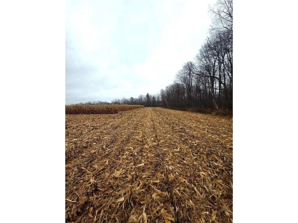 1141 12th Ave. Barron WI 54812 1597229 image15