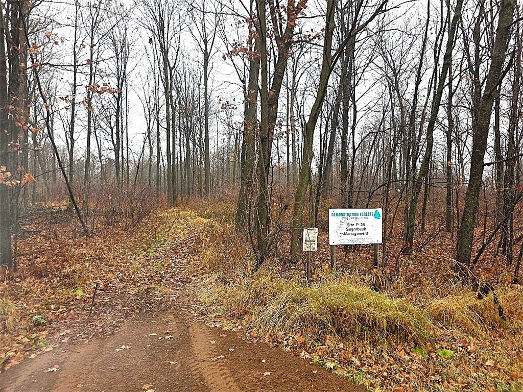 1141 12th Ave. Barron WI 54812 1597229 image6