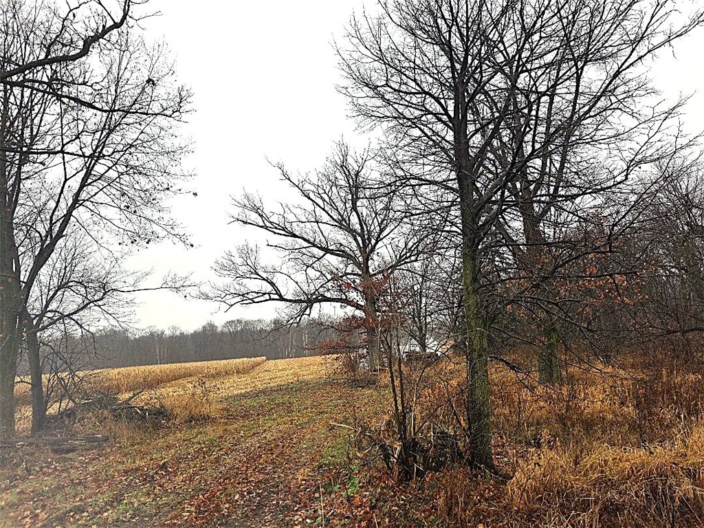 1141 12th Ave. Barron WI 54812 1597229 image8