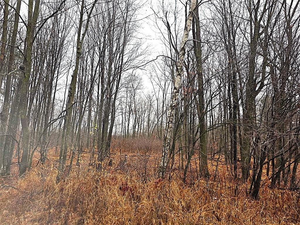 1141 12th Ave. Barron WI 54812 1597229 image9