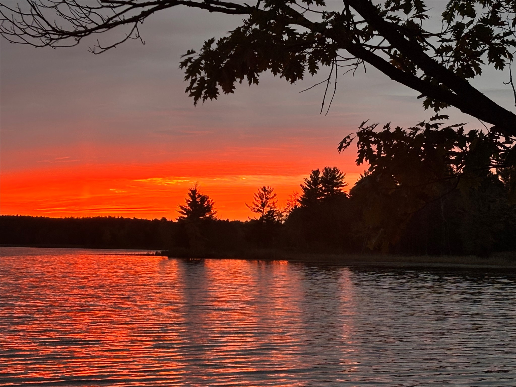 11423 W Bluebird Lane Hayward WI 54843 - Tiger Cat 1600005 image13