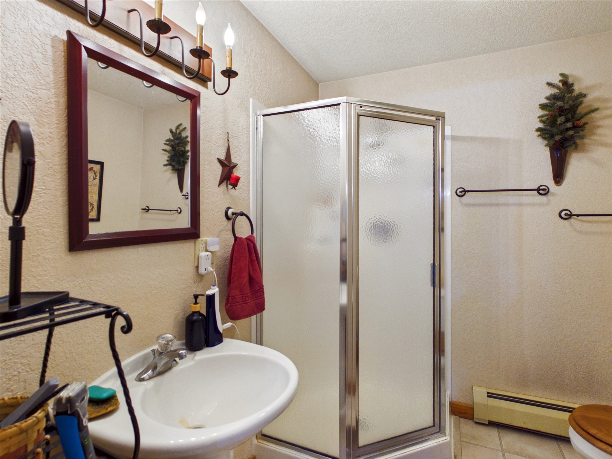 11423 W Bluebird Lane Hayward WI 54843 - Tiger Cat 1600005 image36