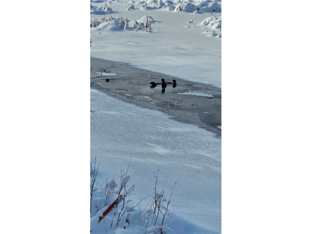 11495 W Tiger Cat Road Hayward WI 54843 - Burns 1597329 image5