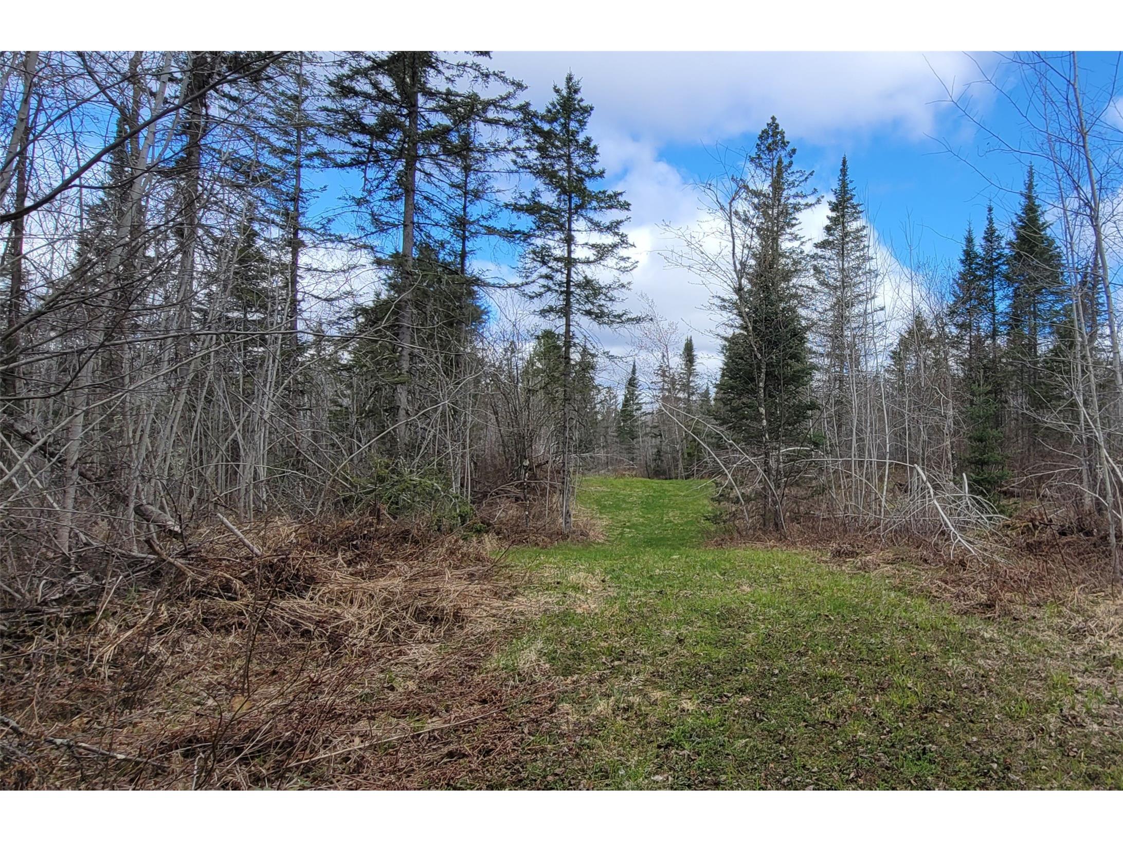 11553N County Highway A Hayward WI 54843 1602465 image1