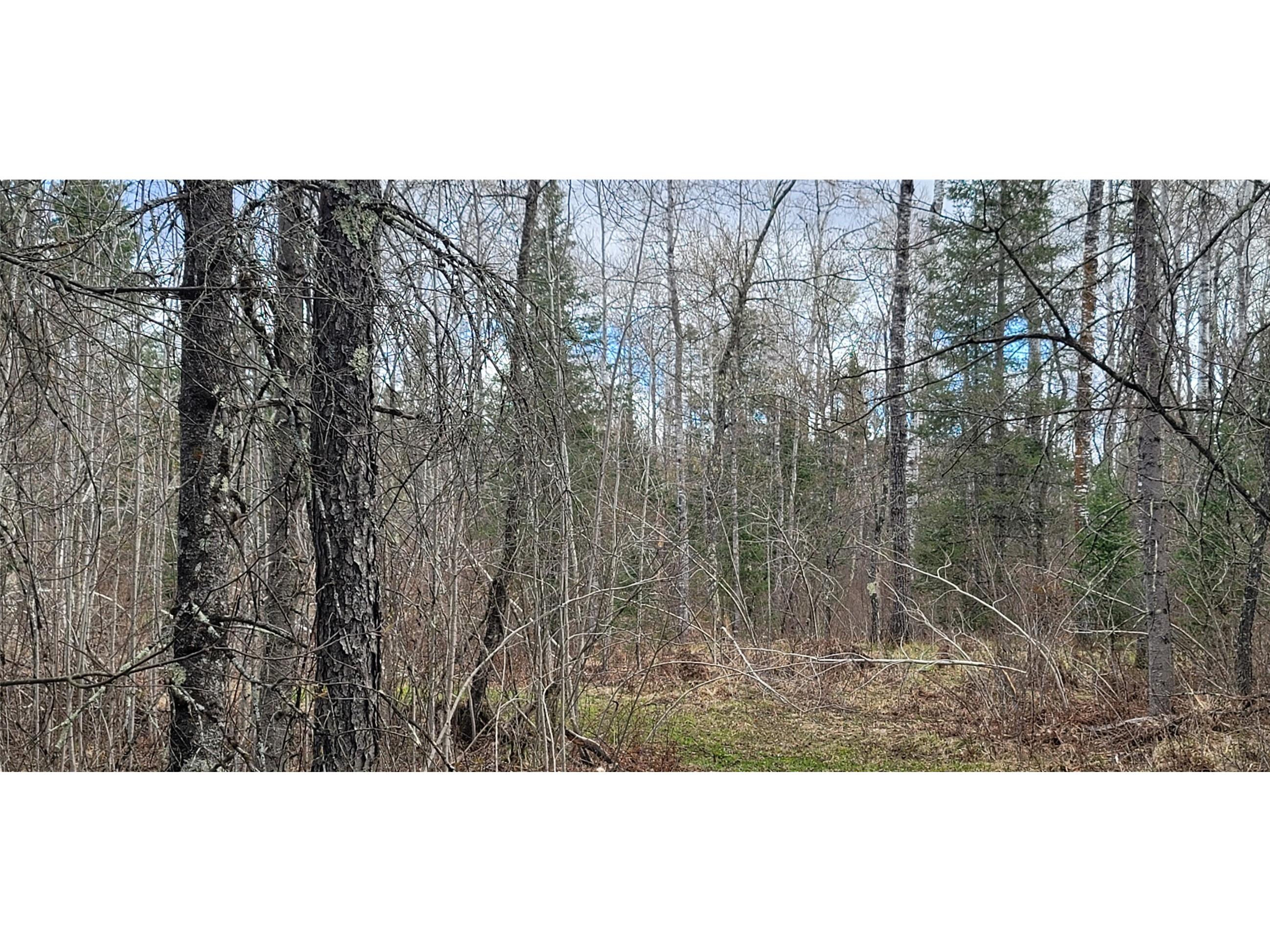 11553N County Highway A Hayward WI 54843 1602465 image2